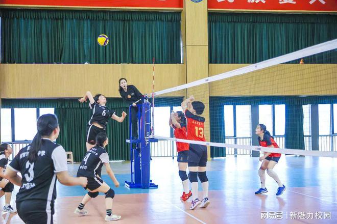 开云体育入口-女子排球比赛：两队激战，谁能夺魁？的简单介绍