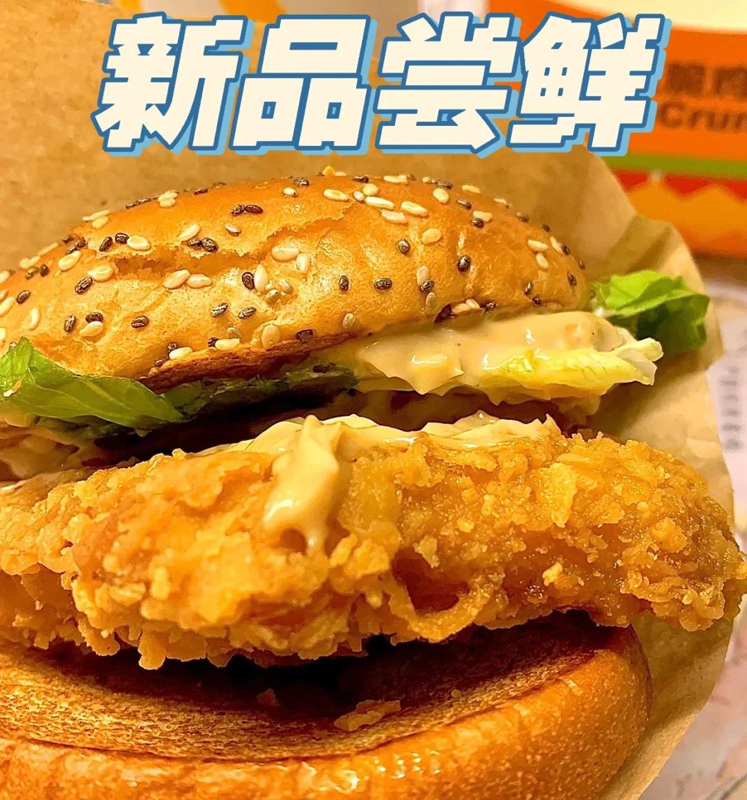 开云体育官网-包含汉堡能翻盘吗，挑战失意中寻找新的希望的词条